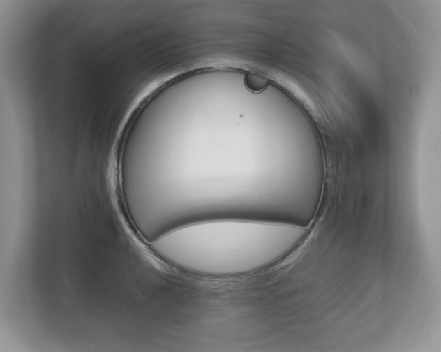 X0000112531040200908171140