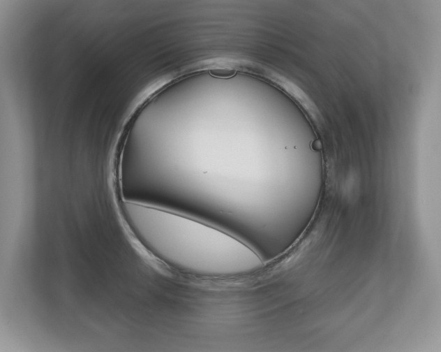 X0000112531042200908171140