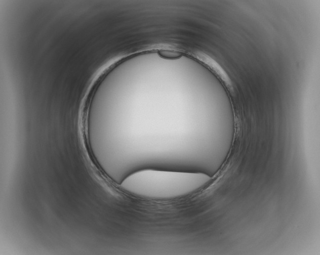 X0000112531043200908171141
