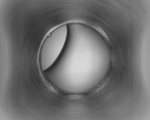 X0000112531044200908171141