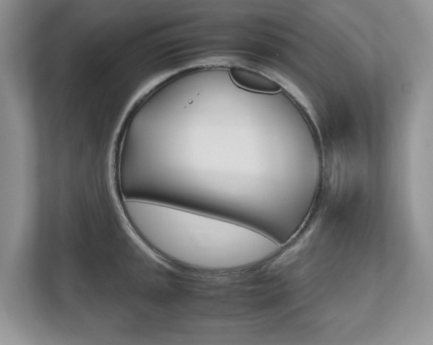 X0000112531045200908171141