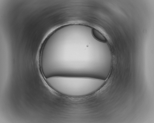 X0000112531046200908171141
