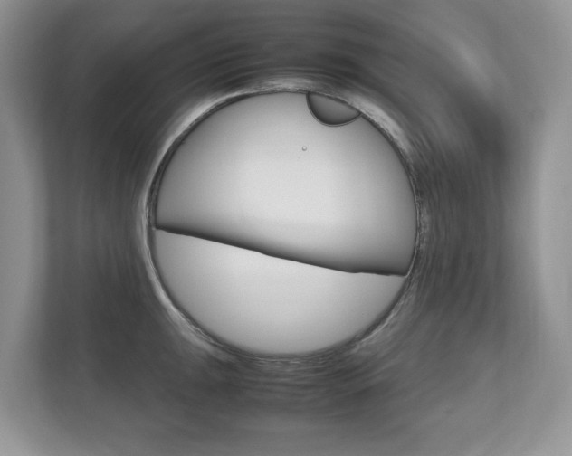 X0000112531047200908171141