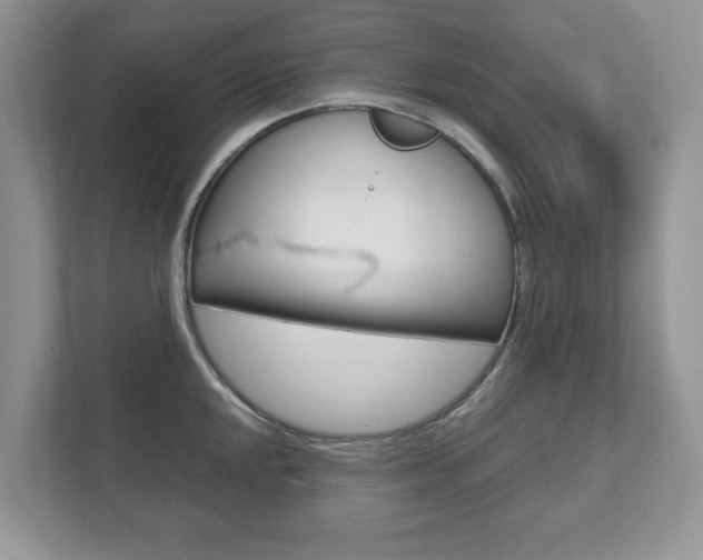 X0000112531048200908171141