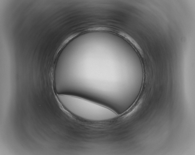 X0000112531049200908171141