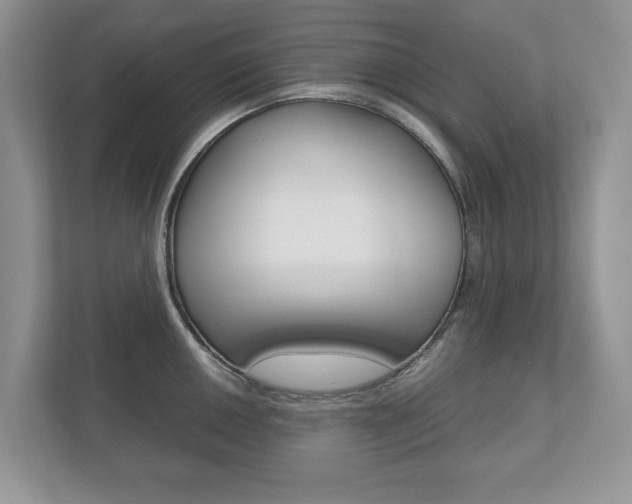 X0000112531050200908171141
