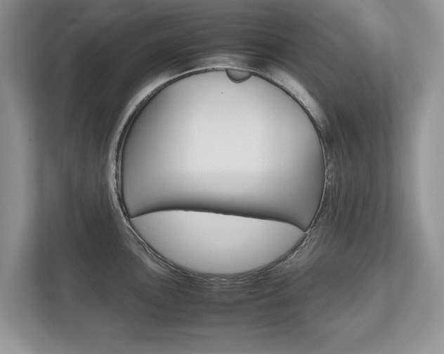 X0000112531051200908171141
