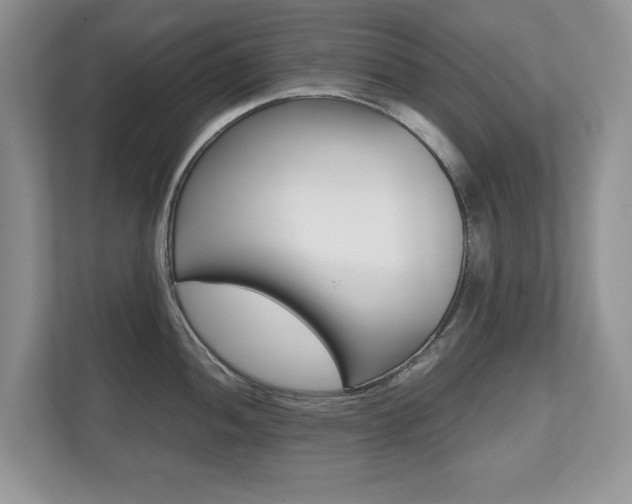 X0000112531052200908171141