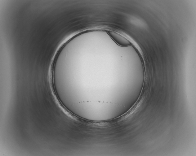 X0000112531053200908171141