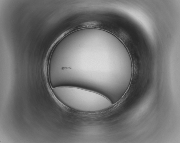 X0000112531054200908171141
