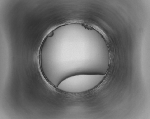 X0000112531055200908171141