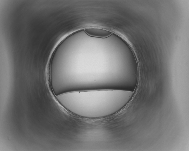 X0000112531056200908171141