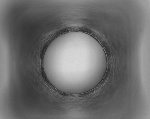 X0000112531061200908171140