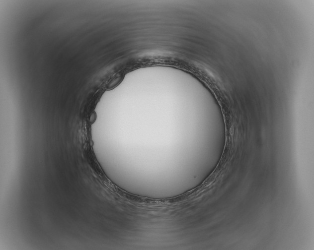 X0000112531062200908171140