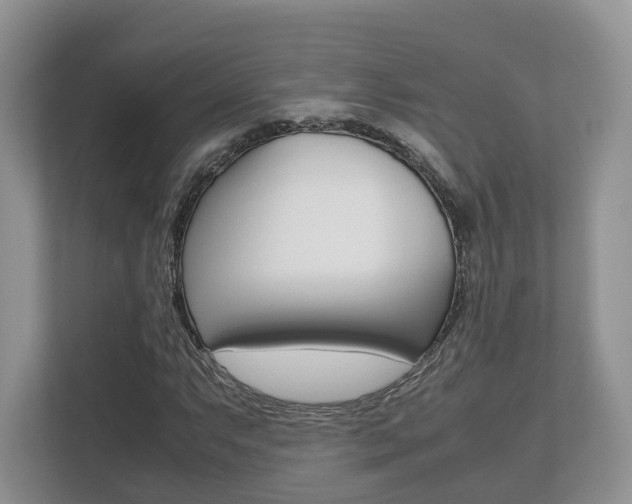 X0000112531063200908171140