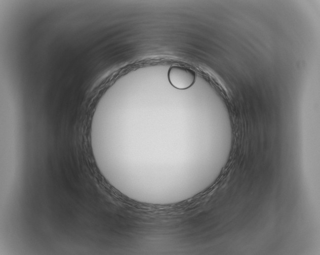 X0000112531064200908171140