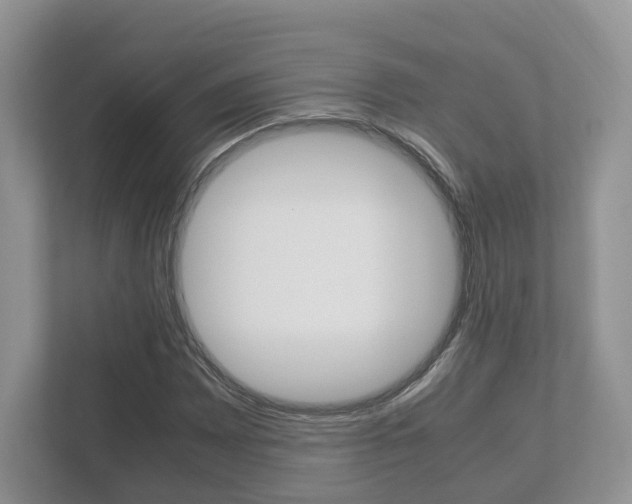 X0000112531065200908171140