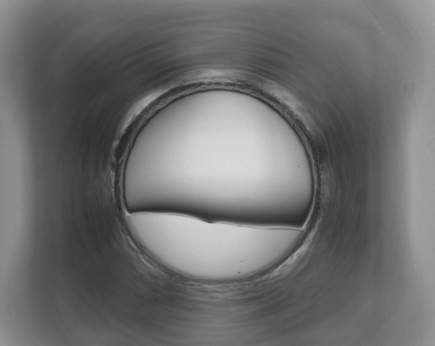 X0000112531066200908171140