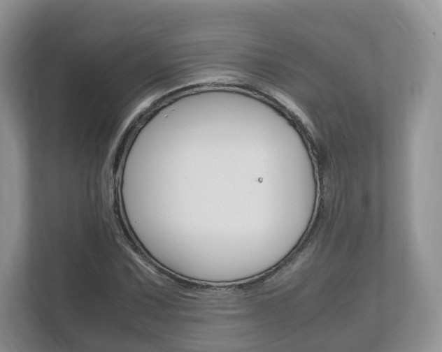 X0000112531067200908171140