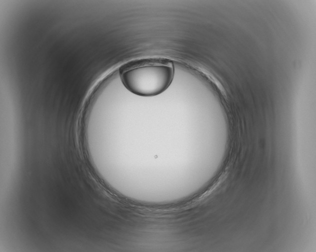 X0000112531069200908171140