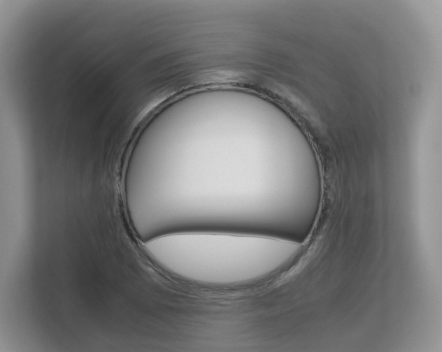 X0000112531073200908171140