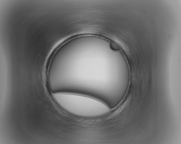 X0000112531077200908171140
