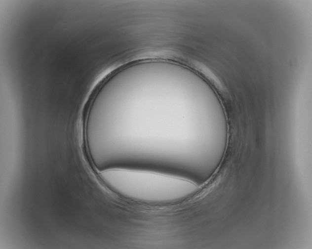 X0000112531079200908171140