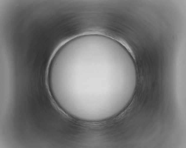 X0000112531080200908171140