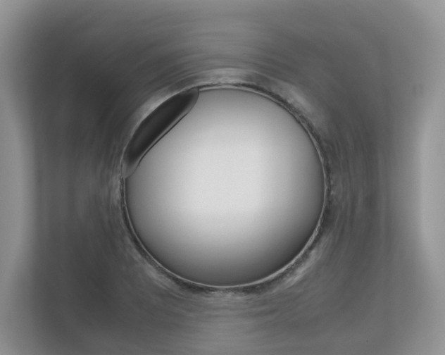 X0000112531081200908171140