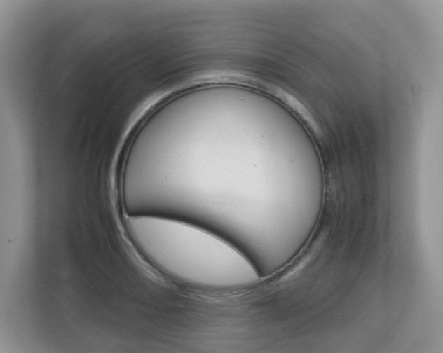 X0000112531082200908171140