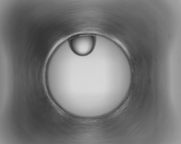 X0000112531085200908171140