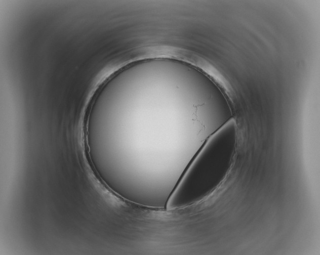 X0000112531088200908171140