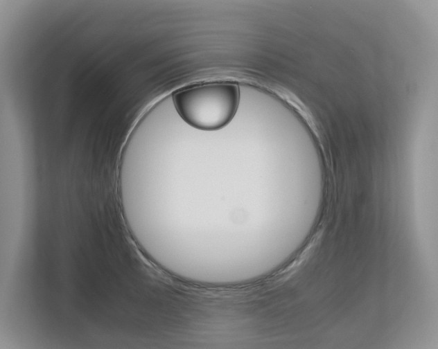 X0000112531089200908171140