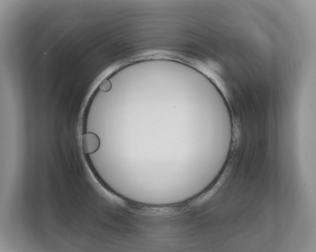 X0000112531090200908171140