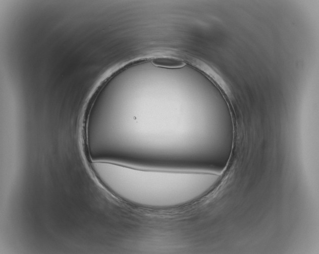X0000112531093200908171140