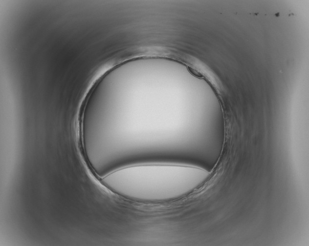 X0000112531095200908171140