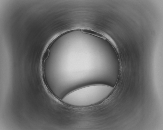 X0000112531096200908171140