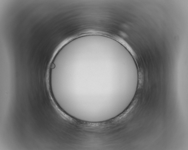 X0000112531098200908171140