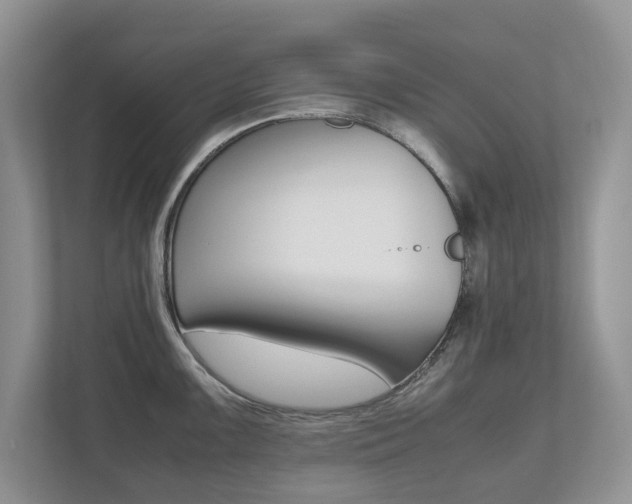 X0000112531099200908171140