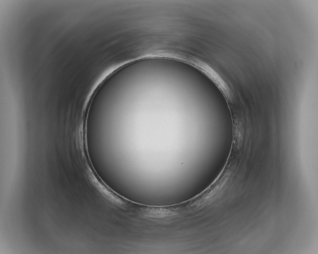 X0000112531100200908171139