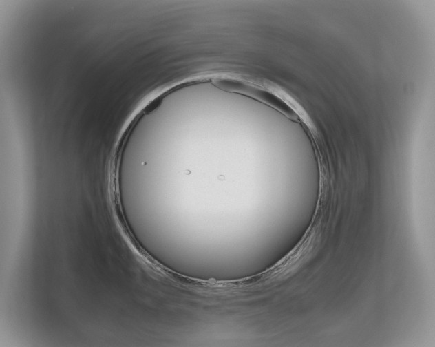 X0000112531101200908171139