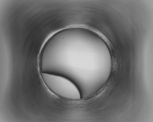 X0000112531102200908171139