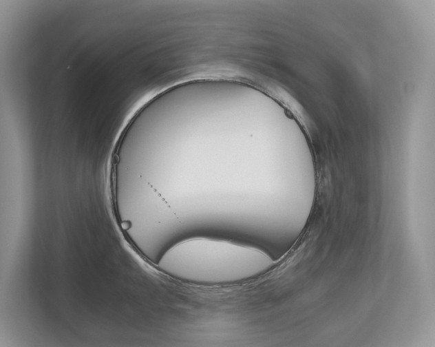 X0000112531103200908171139