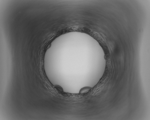 X0000112531105200908171139