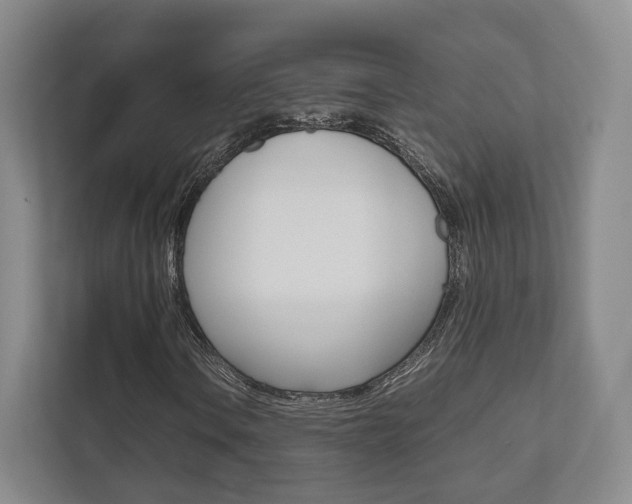 X0000112531106200908171139