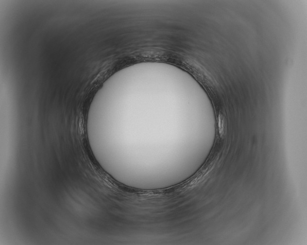 X0000112531107200908171139