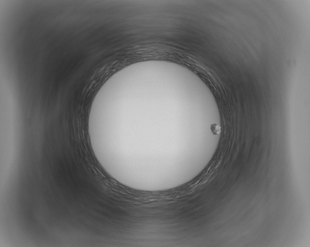 X0000112531108200908171139