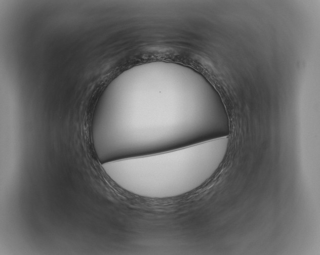 X0000112531109200908171139