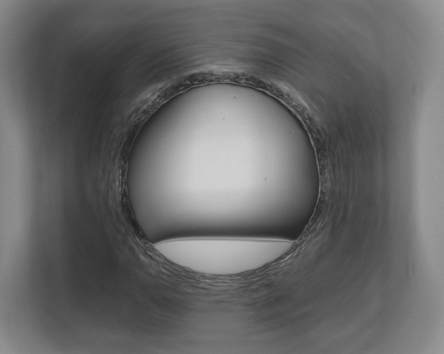 X0000112531110200908171139