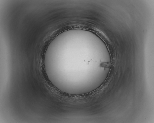 X0000112531111200908171139